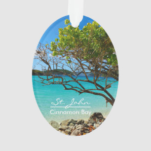 Ornement d'ovale de plage de baie de cannelle de