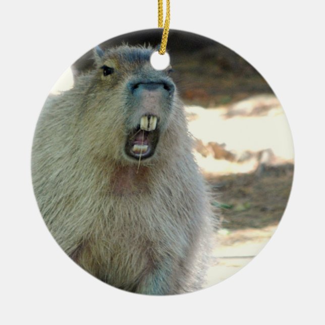 Ornement drôle de Capybara (Devant)