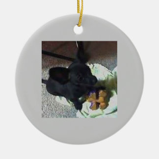 ORNEMENT DU BÉBÉ POKEMON