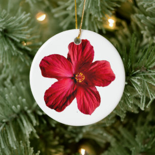 Ornement du cercle de fleurs de l'Hibiscus rouge