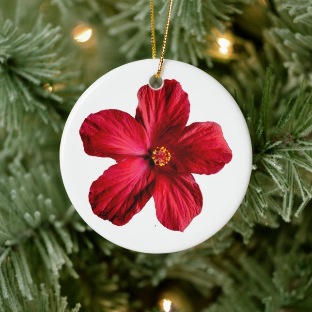 Ornement du cercle de fleurs de l'Hibiscus rouge (Arbre)
