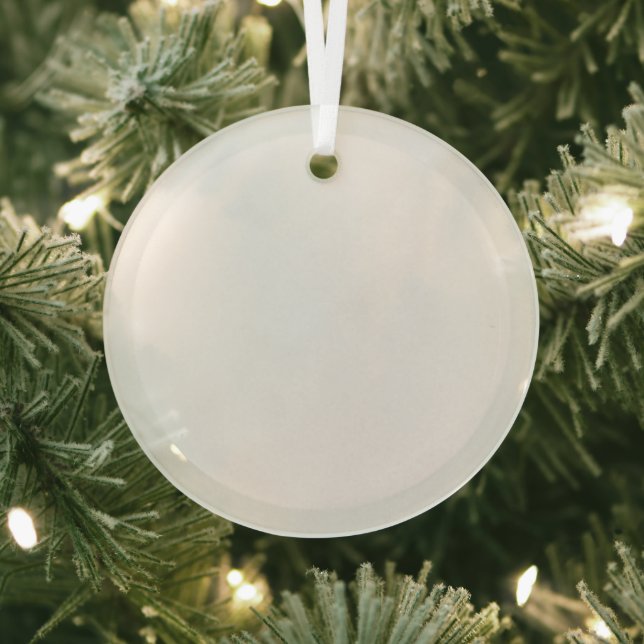 Ornement du cercle de verre blanc (Insitu)