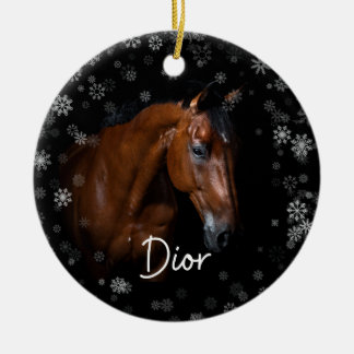 Ornement du Dior du Cheval de l'Espoir