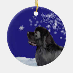 Ornement du pays des merveilles d'hiver de chien