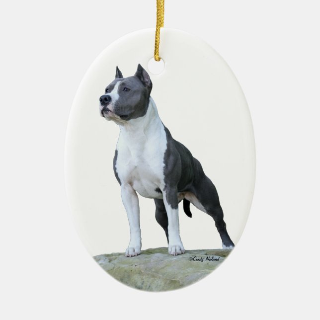 Ornement du Staffordshire Terrier américain (Devant)