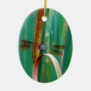Ornement En Céramique A teal Eyed Dragonfly with cattails