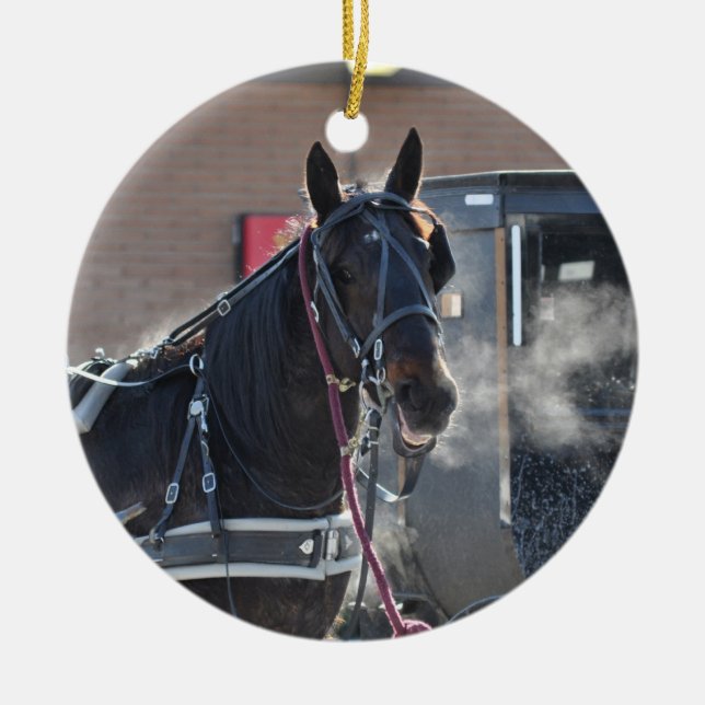 Ornement En Céramique Accroc de cheval d'hiver (Devant)