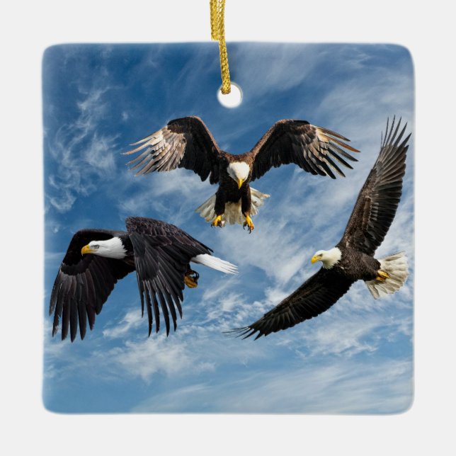 Ornement En Céramique Aigle à tête blanche (Devant)