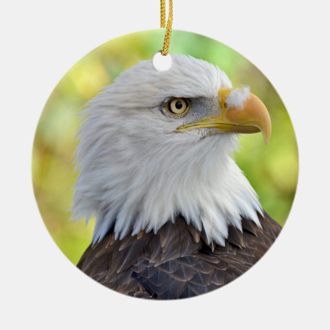 Ornement En Céramique Aigle chauve américain (Devant)