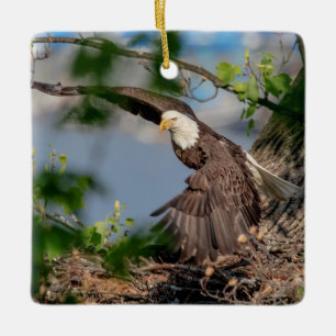 Ornement En Céramique Aigle royal quittant le nid