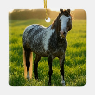 Ornement En Céramique Ajouter une Personnaliser photo de cheval