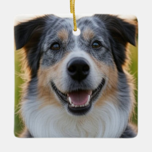 Ornement En Céramique Ajouter une Personnaliser photo pour animaux domes