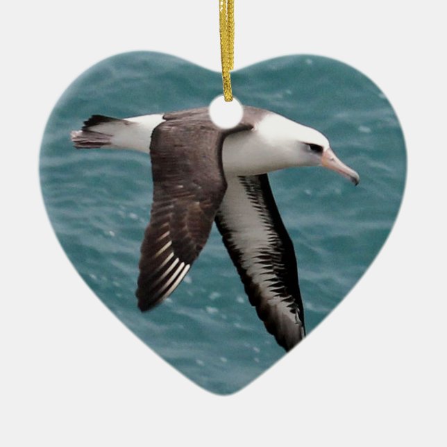Ornement En Céramique Albatros de Laysan (Devant)