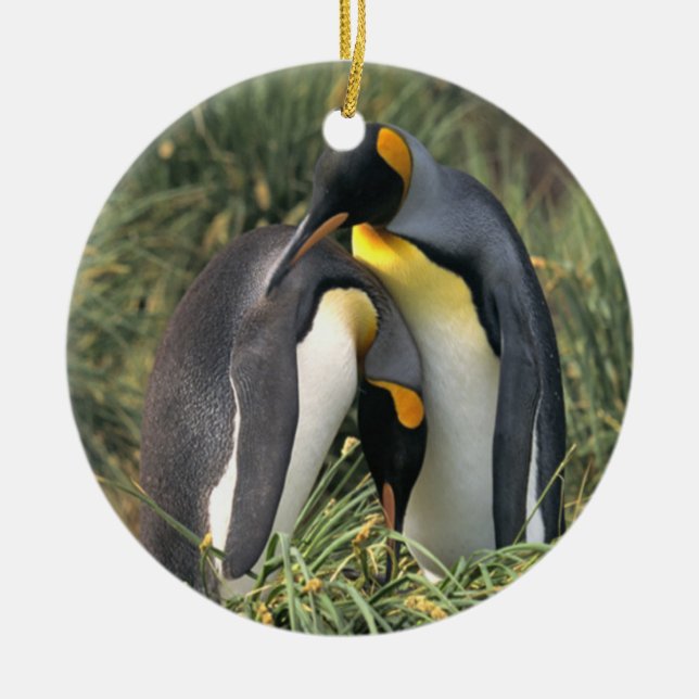 Ornement En Céramique Amants de pingouins de roi (Devant)
