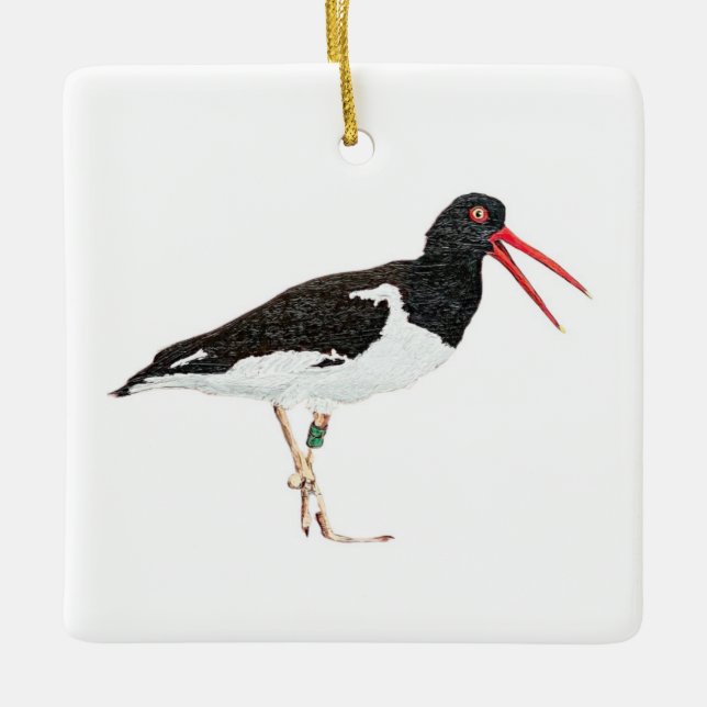 Ornement En Céramique American Oystercatcher (Devant)