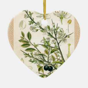 Ornement En Céramique Antique Blackthorn Botanique Imprimé Fleur Berry