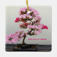 Arbre bonsaï