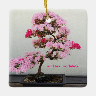 Ornement En Céramique Arbre bonsaï