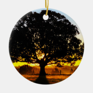 Ornement En Céramique Arbre pendant le matin