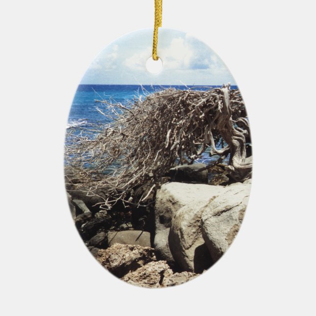 Ornement En Céramique Aruba Divi Divi Arbre À L'Océan (Devant)