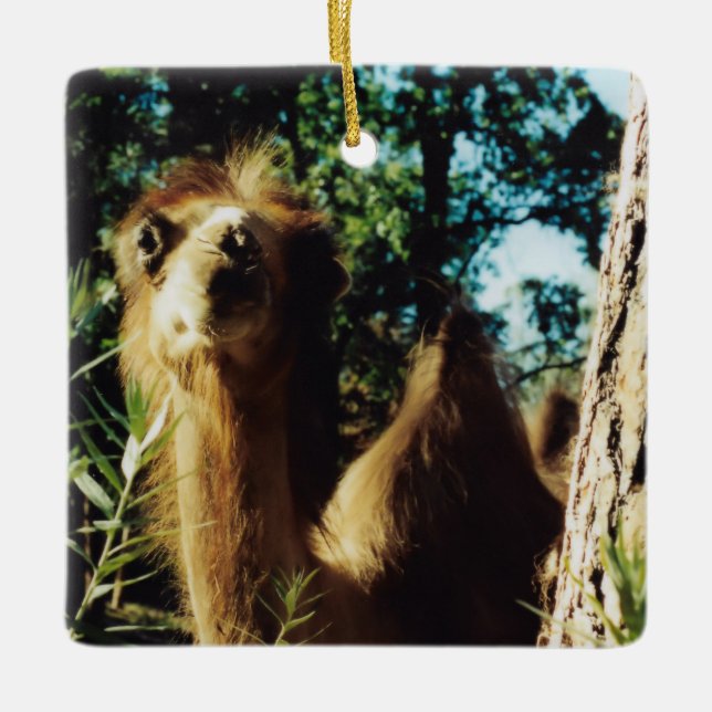 Ornement En Céramique Baba tranquille (Devant)