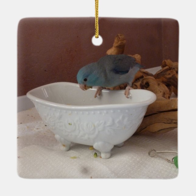 Ornement En Céramique Bain Parrotlet (Dos)