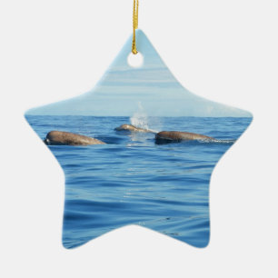 Ornement En Céramique Baleines de Bottlenose d'Atlantique nord