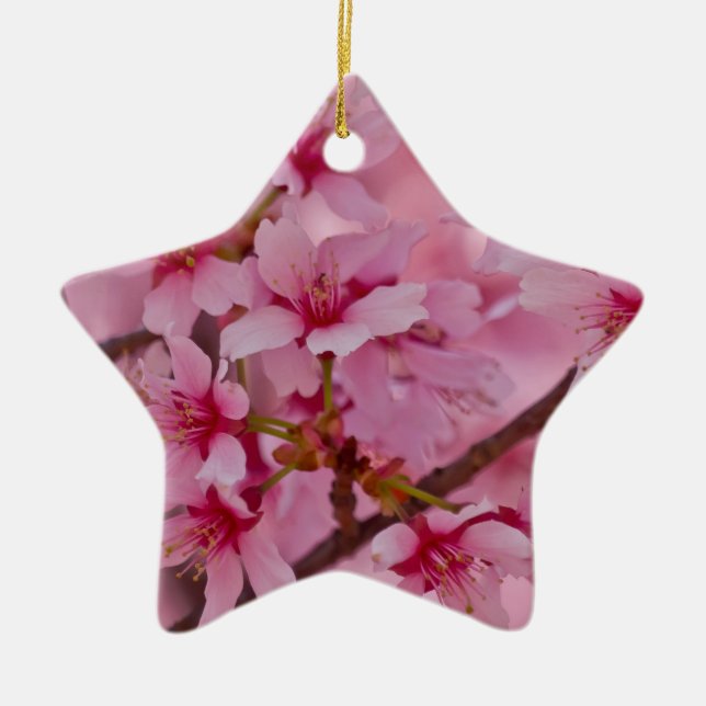 Ornement En Céramique Bathed in Pink Japanese Cherry (Devant)