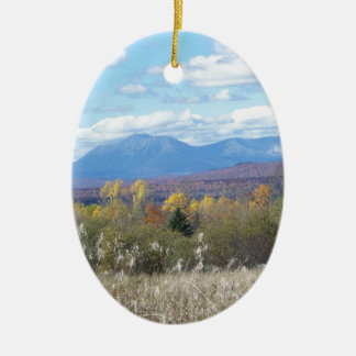 Ornement En Céramique Bâti Katahdin dans la chute 3