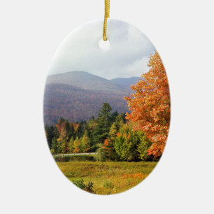 Ornement En Céramique Bâti Mansfield Vermont d'arbre