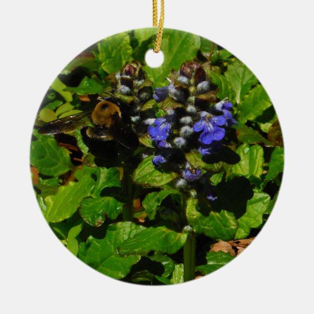 Ornement En Céramique Baume d'abeille pourpre et bourdon (Devant)