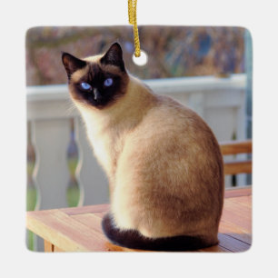 Ornement En Céramique Beau chat siamois aux yeux bleus