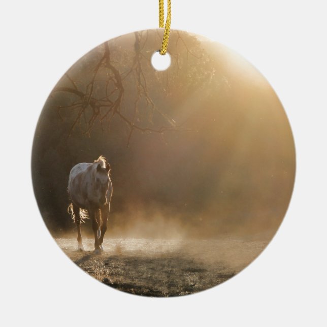 Ornement En Céramique Beau Cheval dans les cadeaux Sunlight (Devant)