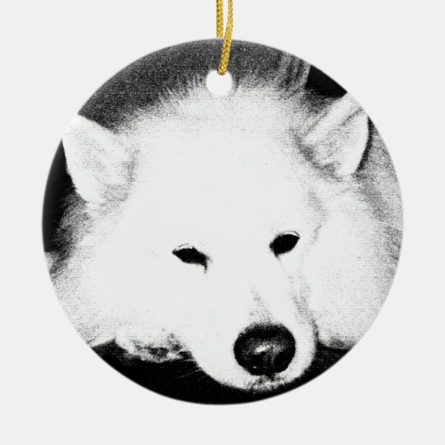 Ornement En Céramique Beau chien velu de blanc de Samoyed (Devant)