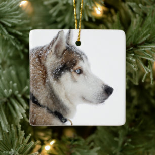 Ornement En Céramique Beau Husky sibérien dans la neige