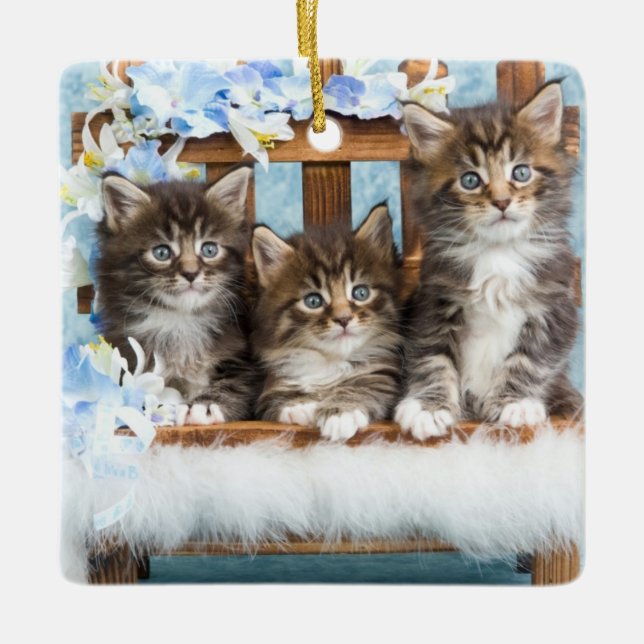 Ornement En Céramique beaux chatons précieux (Devant)