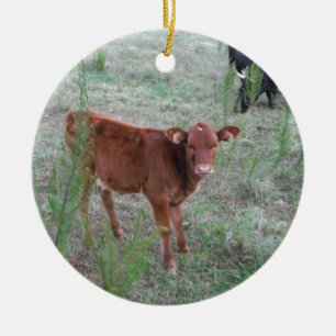 Ornement En Céramique Bébé vache Brown.