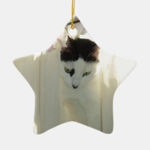 Ornement En Céramique Belle Chat Blanc et Noir