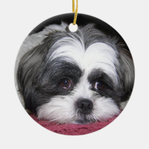 Ornement En Céramique Belle le chien de Shih Tzu