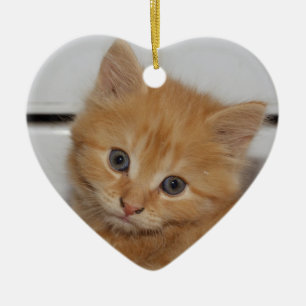 Ornement En Céramique Belle Tabby Kitten Orange