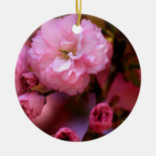 Ornement En Céramique Belles fleurs de cerisiers rose printemps