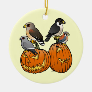 Ornement En Céramique Birdorable Raptors sur des citrouilles