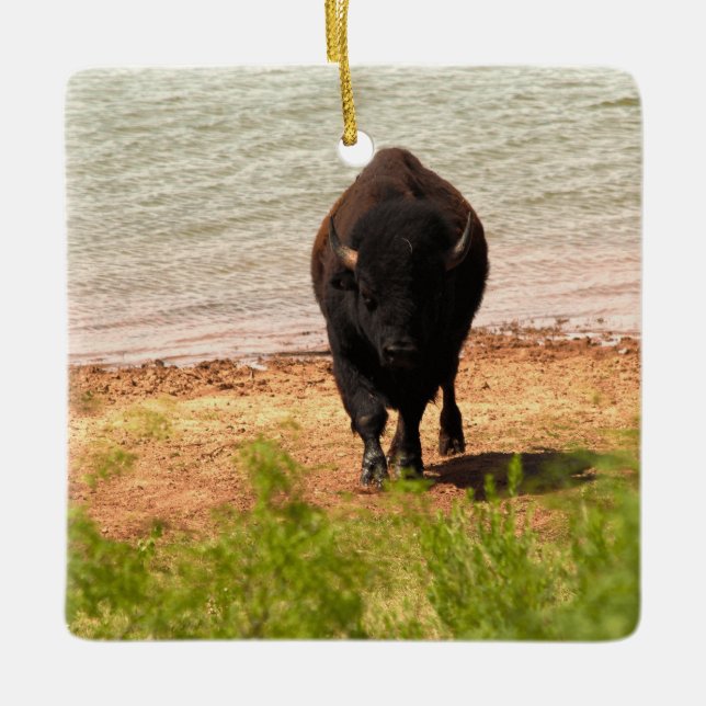 Ornement En Céramique Bison at the Water (Devant)