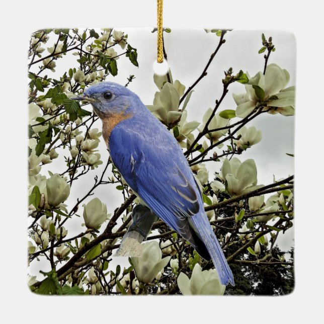 Ornement En Céramique Bluebird (Dos)