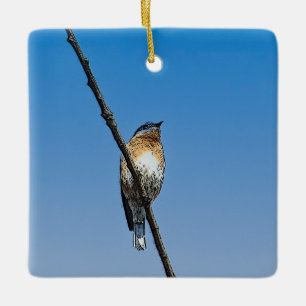 Ornement En Céramique Bluebird sur la branche
