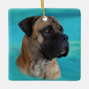 Ornement En Céramique Boerboel - mastiff sud-africain