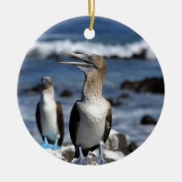 Ornement En Céramique Boobies à pieds bleus Galapagos