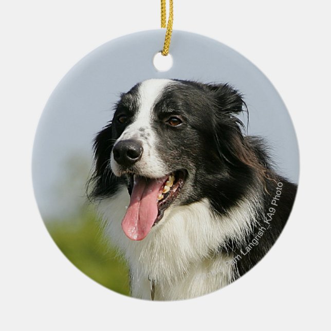 Ornement En Céramique Border collie haletant la position (Devant)