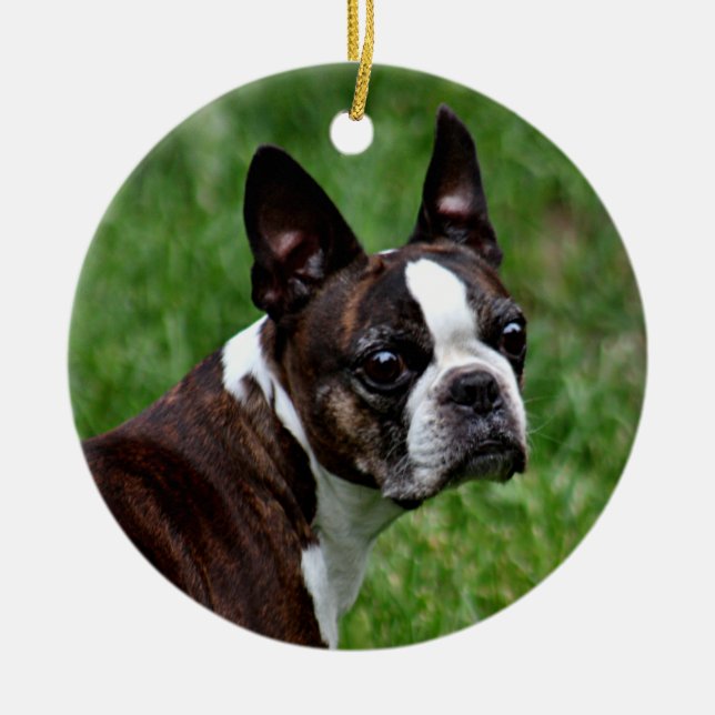 Ornement En Céramique Boston terrier (Devant)