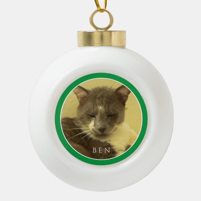 Ornement en céramique boule PET LOVE /Vert (Devant)